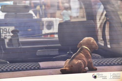 © Photo Lorentz