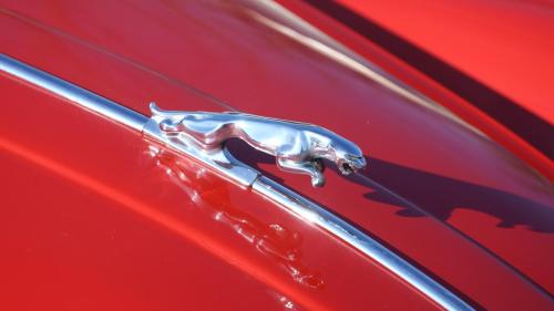 © Laurine