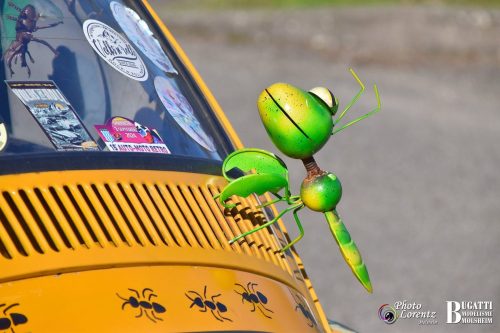 © Photo Lorentz